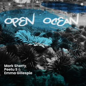 Mark Sherry的專輯Open Ocean