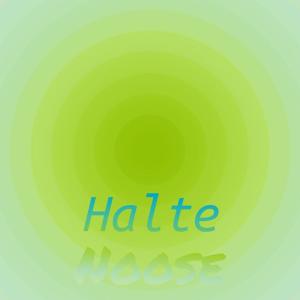 อัลบัม Halte Noose ศิลปิน Various