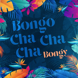 Album Bongo cha cha cha from Bongy