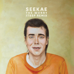 Album The Worry (1tbsp Remix) from Seekae