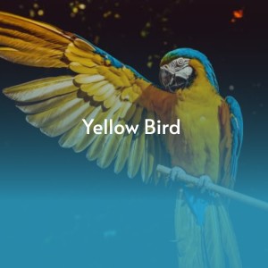 Various Artists的專輯Yellow Bird (Explicit)