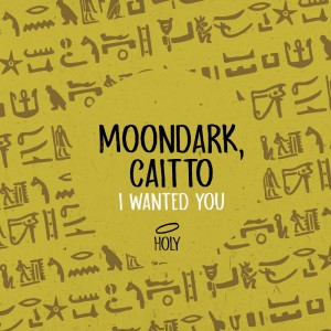 Album I Wanted You (Radio Edit) from MoonDark