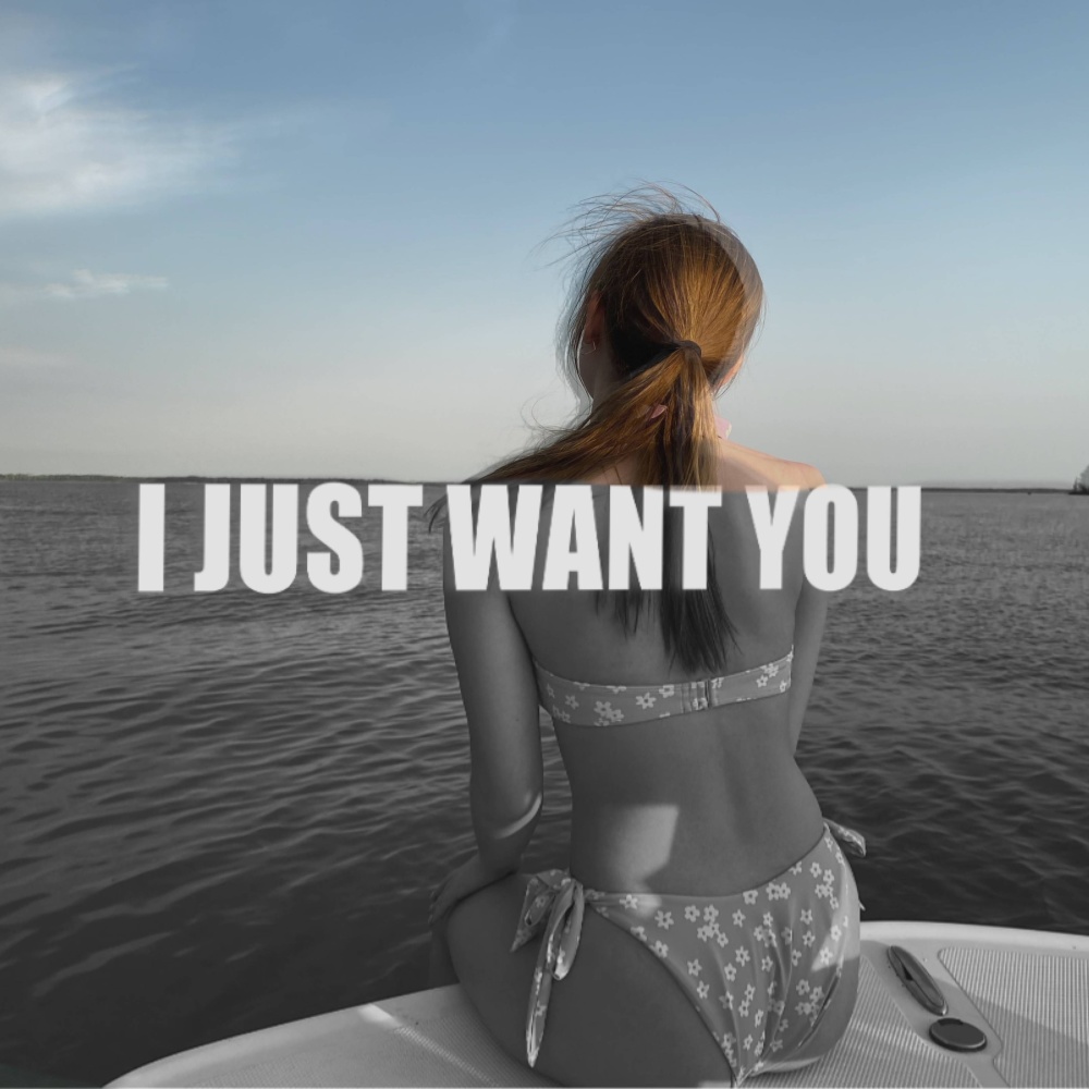 I Just Want You(feat. Natalie) (Explicit)