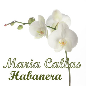 ดาวน์โหลดและฟังเพลง Habanera พร้อมเนื้อเพลงจาก Maria Callas