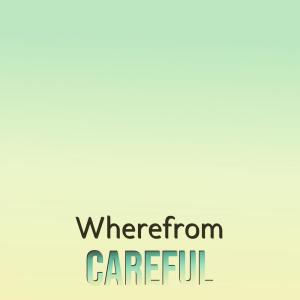 Various的专辑Wherefrom Careful