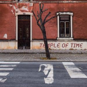 Album Temple of Time from Livid Cheese