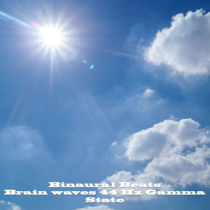ดาวน์โหลดและฟังเพลง Gamma Brain Waves 44 Hz L-85 Hz R-41 Hz พร้อมเนื้อเพลงจาก Binaural Beats Brain Waves