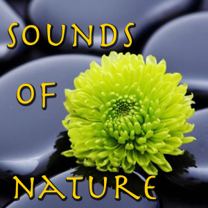 Listen to Pluvio song with lyrics from Spirit