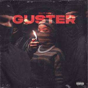 อัลบัม Gušter ศิลปิน Salle