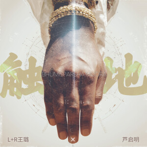 Album 触地 (Bhumisparsha Mudra) from L+R