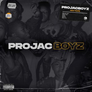 Various Artists的專輯Projacboyz Mixtape (Explicit)