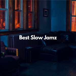 Various的專輯Best Slow Jamz (Explicit)