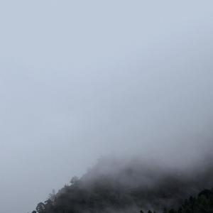 Trinaural In Dub的專輯Lonze