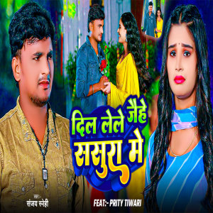 Sanjay Snehi的專輯Dil Lele Jaihe Sasura Me