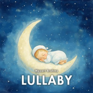 Listen to Quick Sleep Baby White Noise song with lyrics from Mozart Brahms Lullaby