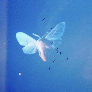 收聽Mothica的everything at once歌詞歌曲