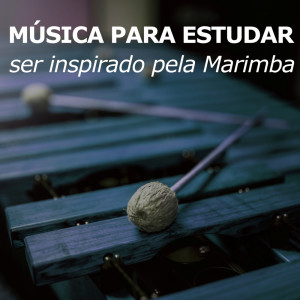 Dengarkan lagu Progresso do estudo (versão marimba) nyanyian Música Para Estudar dengan lirik