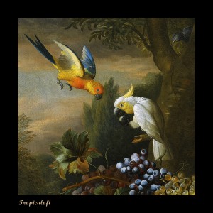 Listen to Tropicalofi song with lyrics from OJ Son