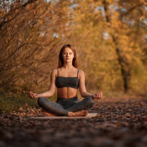 收聽Meditation Music Machine的Zen Tranquility Sounds歌詞歌曲
