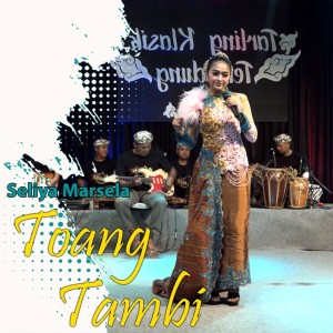 Dengarkan Toang Tambi lagu dari Seliya Marsela dengan lirik