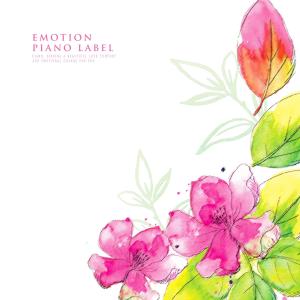 Album Emotional Piano Music For You from Various Artists