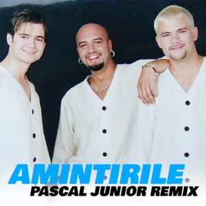 ดาวน์โหลดและฟังเพลง Amintirile (Pascal Junior Remix) พร้อมเนื้อเพลงจาก 3rei Sud Est