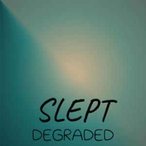 Album Slept Degraded from Various