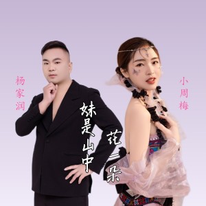 Listen to 妹是山中花一朵 (完整版) song with lyrics from 杨立果