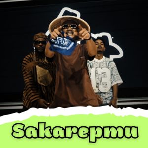 Listen to Sakarepmu song with lyrics from Namek Flo