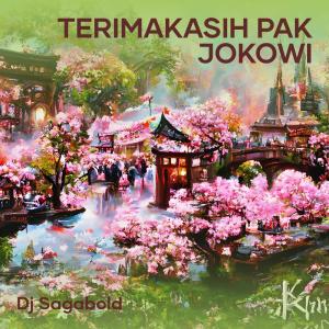 Dengarkan Terimakasih Pak Jokowi lagu dari DJ SAGABOLD dengan lirik