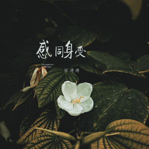 张沛沛的专辑感同身受