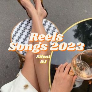 Silent DJ的專輯Reels Songs 2023 (Remix)