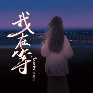 Listen to 我在等 song with lyrics from 张静雯