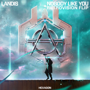 Landis的专辑Nobody Like You (RetroVision Flip)