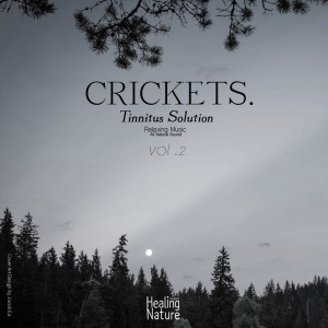 ดาวน์โหลดและฟังเพลง Cricket Sound for Deep Sleep 5 พร้อมเนื้อเพลงจาก 힐링 네이쳐 Nature Sound Band