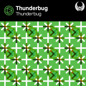 ดาวน์โหลดและฟังเพลง Thunderbug พร้อมเนื้อเพลงจาก Thunderbug