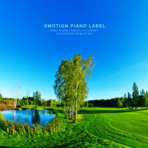 Album Beautiful heart scenery drawn by music (New Age piano collection) from Various Artists