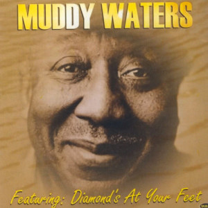 收聽Muddy Waters的I Can't Be Satisfied歌詞歌曲