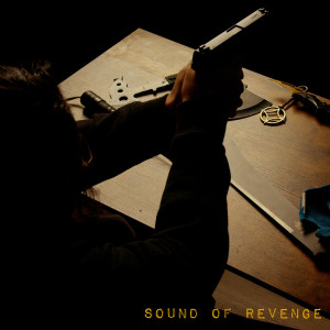 Album Sound of Revenge (Explicit) from PD Beatz