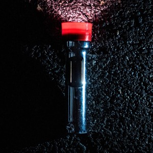 Dengarkan Where Did You Sleep Last Night lagu dari Sleigh Bells dengan lirik