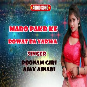 Listen to Maro pakr ke rowat ba yarwa song with lyrics from Poonam Giri