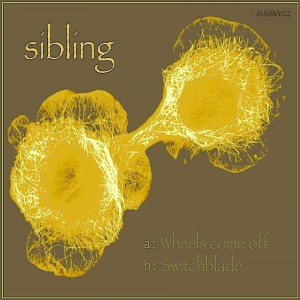 收聽Sibling的Wheels Come Off (Original Mix)歌詞歌曲