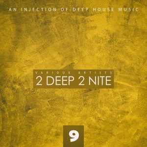 Album 2 Deep 2 Nite, Vol. 9 oleh Various