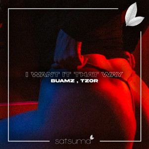 Listen to I Want It That Way song with lyrics from Buamz