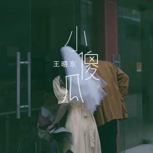 收聽王曉東的小傻瓜歌詞歌曲