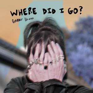 Gabbie Hanna的專輯Where Did I Go? (A Cappella)