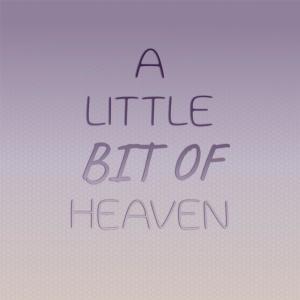 Listen to Go Speed Racer Go song with lyrics from Imitator Tots