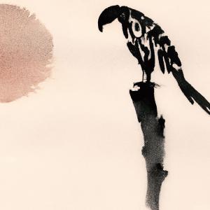 Dengarkan lagu Lonely Bird nyanyian noteaf dengan lirik