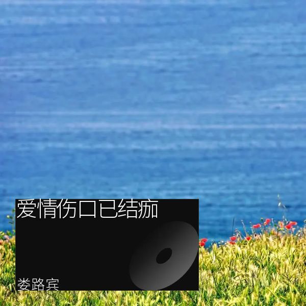爱情伤口已结痂 (完整版)