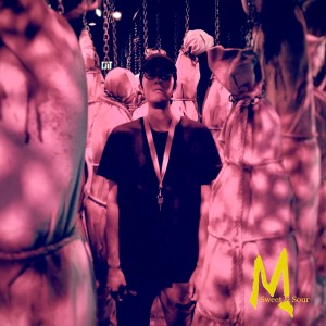 Listen to 甜酸酱 song with lyrics from 贰贝勒